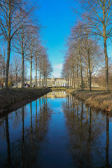 The Reflections Of Nature