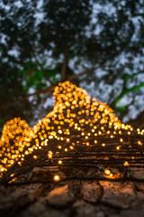 christmas tree with lights