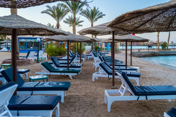 Rows of sunbeds and umbrellas on a beach