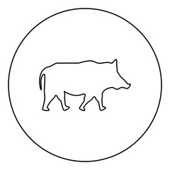 Wild boar Wild pig Hog Warthog icon in circle round outline black color vector illustration flat style image