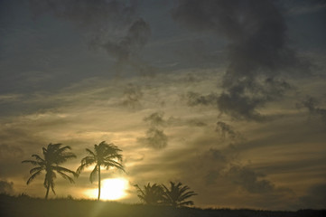 Por do sol em Genipabu