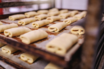 Close up of rolled sweet pastry on baking tray ready to be baked. Bakery interior.