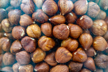 hazelnuts on a white background