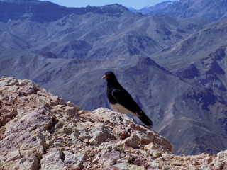 montaña