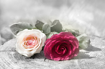 Mourning Flowers Photos Royalty Free Images Graphics Vectors