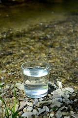 A glass of clean water on the river bank