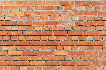 A brick wall as background, very sharp nice orange color and beautiful structure