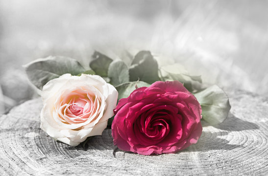 zwei Rosenblüten auf Holzstamm, Design für Trauer Karte