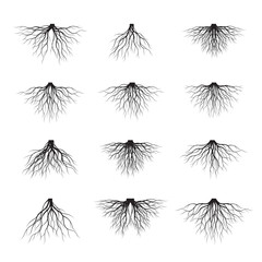 Set of Black Tree Roots. Vector Illustration.