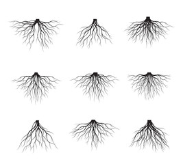 Set of Black Tree Roots. Vector Illustration.