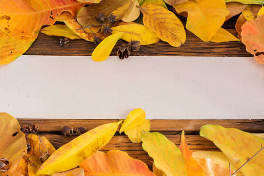 Yellow leaf frame on old wooden floor and brown paper frame for writing text, background backdrop, autumn banner decorated with dry leaves, yellow leaves, top view photos - pictures