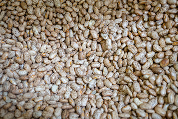 sunflower seeds background