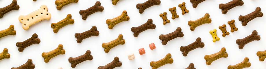 banner of dry animal pet food isolated on white background