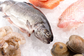 Seafood Laid Out on Bed of Ice at a Fish Market or Fishmongers
