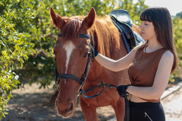 Fototapeta premium young woman takes care of her horse in equestrian