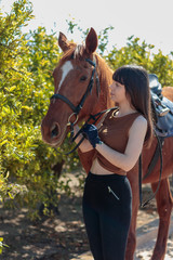 Fototapeta premium young woman takes care of her horse in equestrian