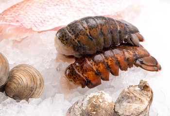 Seafood Laid Out on Bed of Ice at a Fish Market or Fishmongers