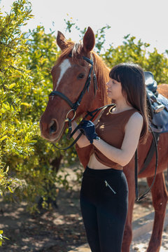 young woman takes care of her horse in equestrian