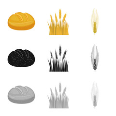 Isolated object of agriculture and farming sign. Set of agriculture and plant  stock vector illustration.