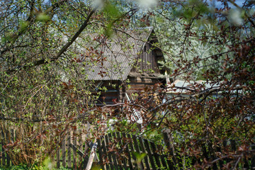 very old lady's house