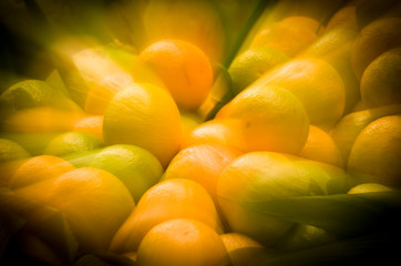 Frutas e legumes, natureza morta