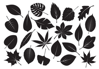 Collection of black Leaves. Vector Illustration. - obrazy, fototapety, plakaty