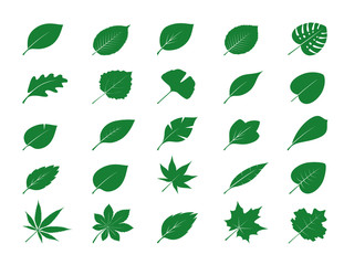 Collection of Green Leaves. Vector Illustration. - obrazy, fototapety, plakaty