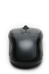 Computer mouse on white background