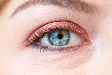 Fototapeta na wymiar Female blue eye with beautiful make-up, close up