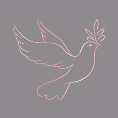 Beautiful line sketch dove bird vector illustration