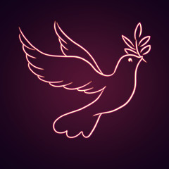 Beautiful neon line sketch dove bird vector illustration