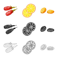 Vector illustration of food  and raw  symbol. Collection of food  and nature   stock vector illustration.