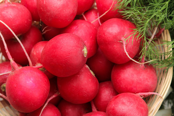 fresh radish. Spring fresh vegetables radishes and fresh greens on a white wooden table. ingredients for cooking. close-up