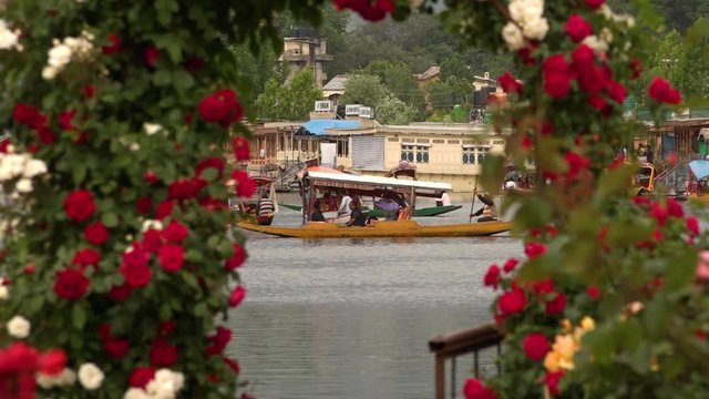 Still long shot of a shikara at with several tourists at Dal Lake with other boats and houses nearby, framed inside a foreground flower-covered arch