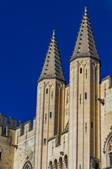 Palais des Papes in Avignon, France
