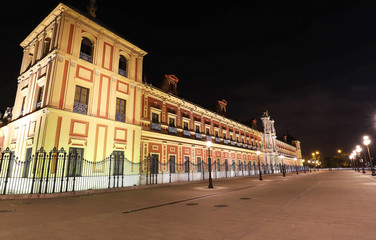 Fototapeta na wymiar Baroque facade of the Palace of San Telmo in Seville at night, Spain.