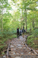 Obraz premium 尾瀬ヶ原のハイキングコースを歩く人々