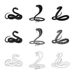 Fototapeta premium Vector illustration of mammal and danger symbol. Set of mammal and medicine stock symbol for web.