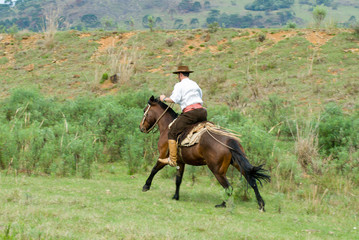 Pe&otilde;es conduzindo o gado