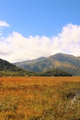 尾瀬ヶ原の草紅葉