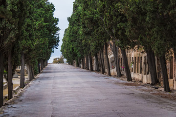 Perspective view of the road, graves and trees on the Montjuic Cemetery in overcast day, Barcelona, Catalonia, Spain