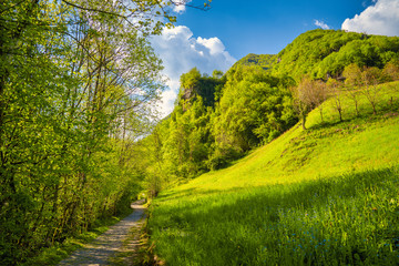 A splendid panorama of the Orobiche mountains, a mule track runs along the river Vertova, for walks in the nature.