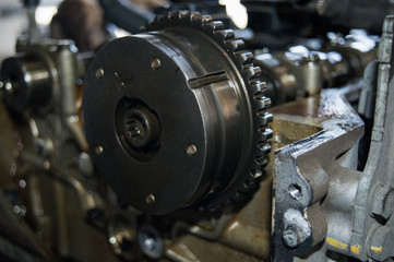 Gear of drive of a gas-distributing mechanism of the automobile engine.