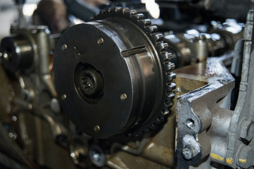 Fototapeta premium Gear of drive of a gas-distributing mechanism of the automobile engine.