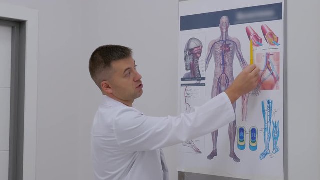 Doctor phlebologist in the clinic of surgical venous vascular surgery shows on the poster the human vascular system