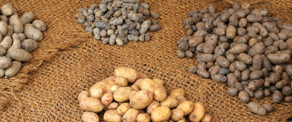 raw potatoes for sale