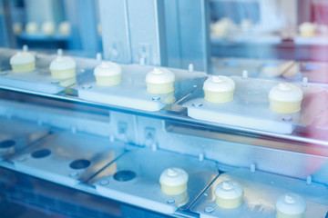 Preparation of vanilla ice-creams on factory.