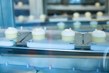 Preparation of vanilla ice-creams on factory.