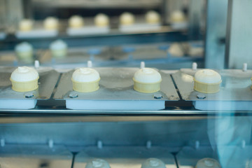 Obraz na płótnie Canvas Preparation of vanilla ice-creams on factory.