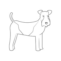 Fox Terrier dog icon. Element of dog for mobile concept and web apps icon. Outline, thin line icon for website design and development, app development